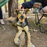 Review photo of Schoolhouse Campground (CA) by Jordan L., May 16, 2022