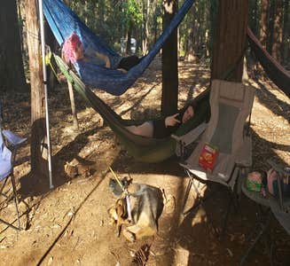 Camper-submitted photo from Lime Saddle Campground — Lake Oroville State Recreation Area