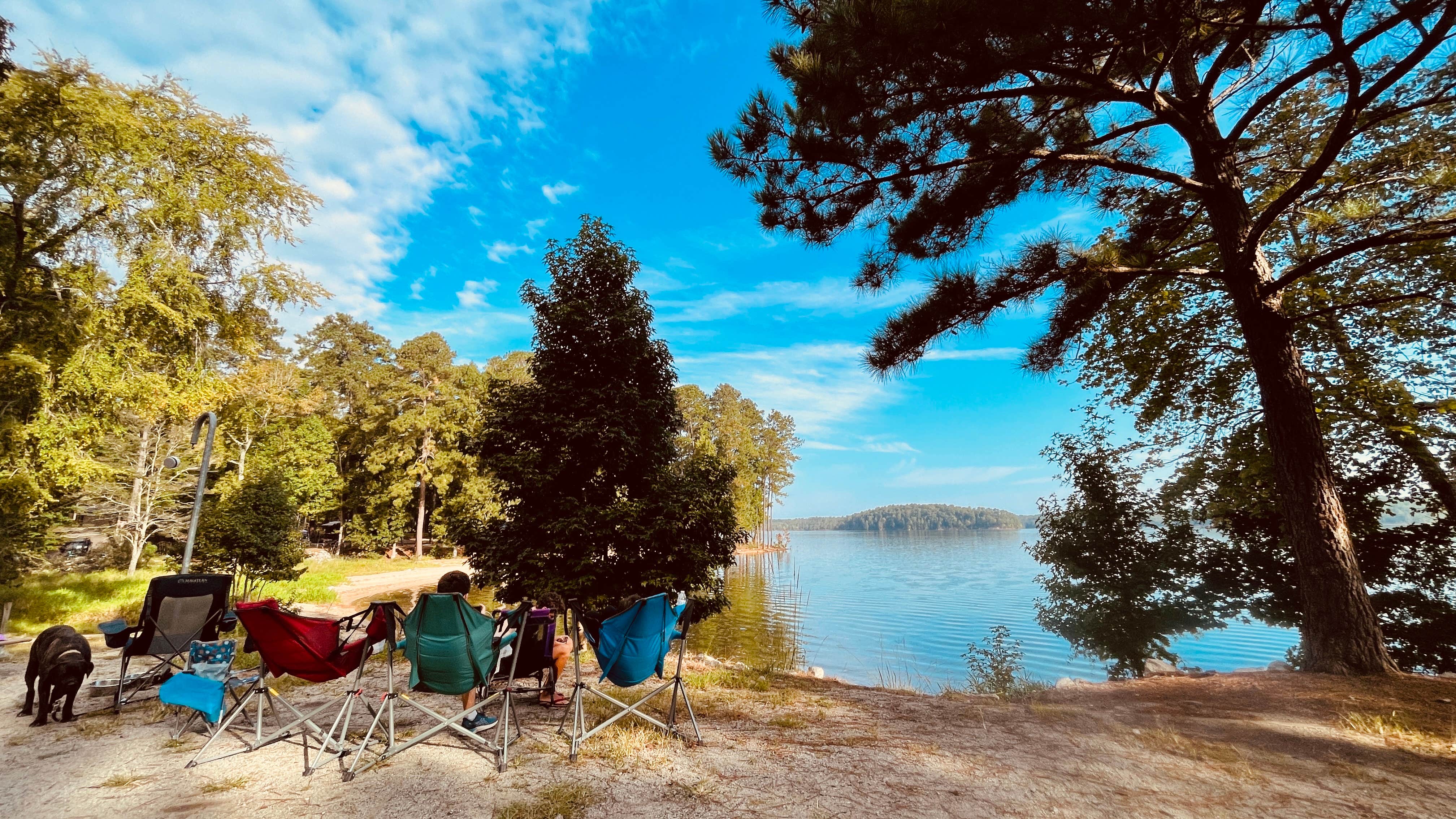 Sonyia W.'s photo at Elijah Clark State Park Campground near Washington, GA
