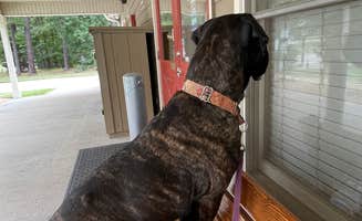 Sunny W.'s photo of camping with pets at Elijah Clark State Park Campground near Abbeville, SC