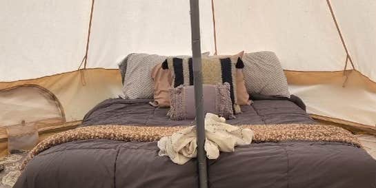 Camper submitted image from Oasis in the woods by the family tree