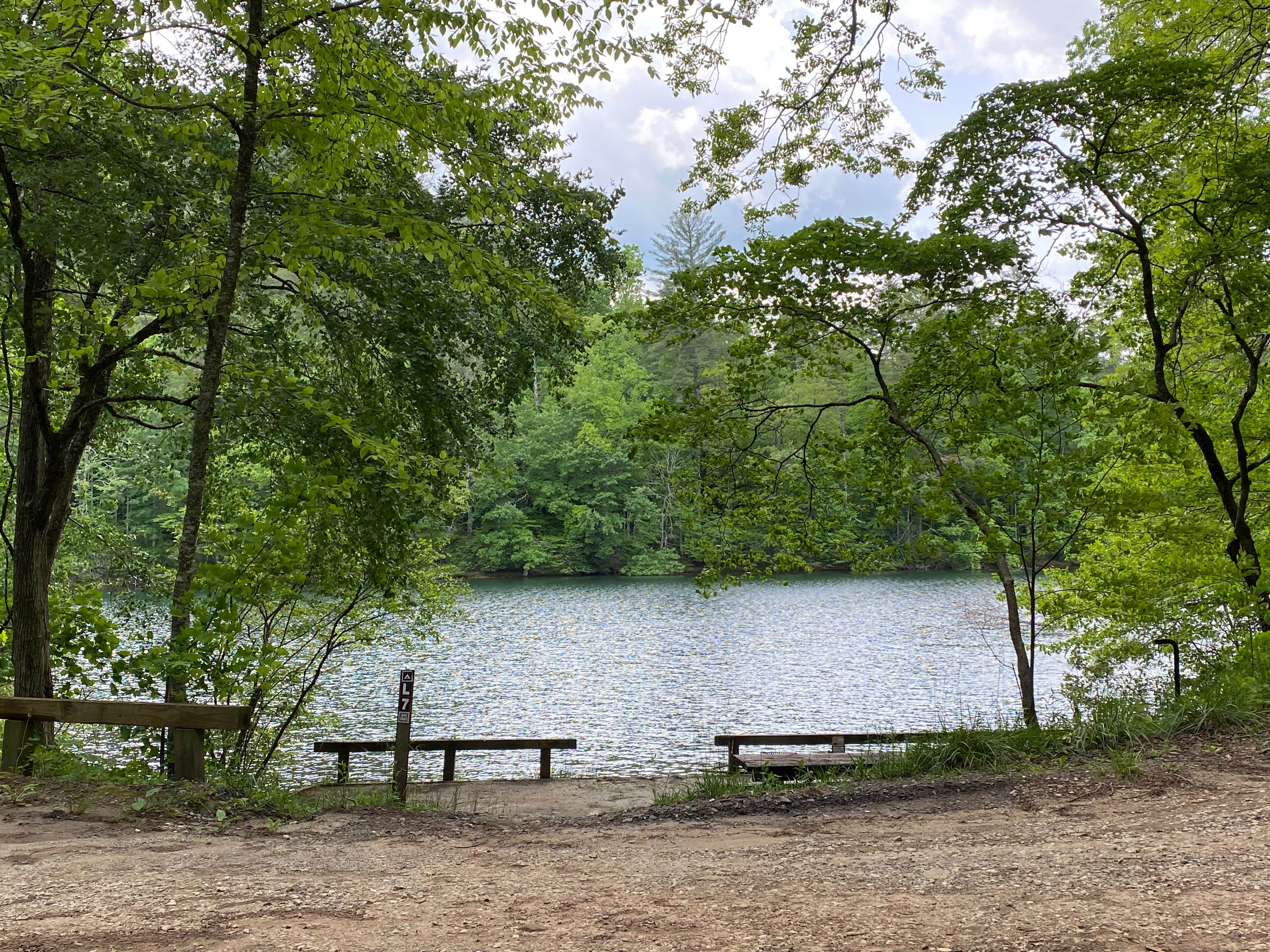 Molly A.'s photo of a dispersed camping area at Long Hungry Road Dispersed Campsites near Murphy, NC