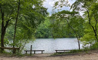 Molly A.'s photo of a dispersed camping area at Long Hungry Road Dispersed Campsites near Topton, NC