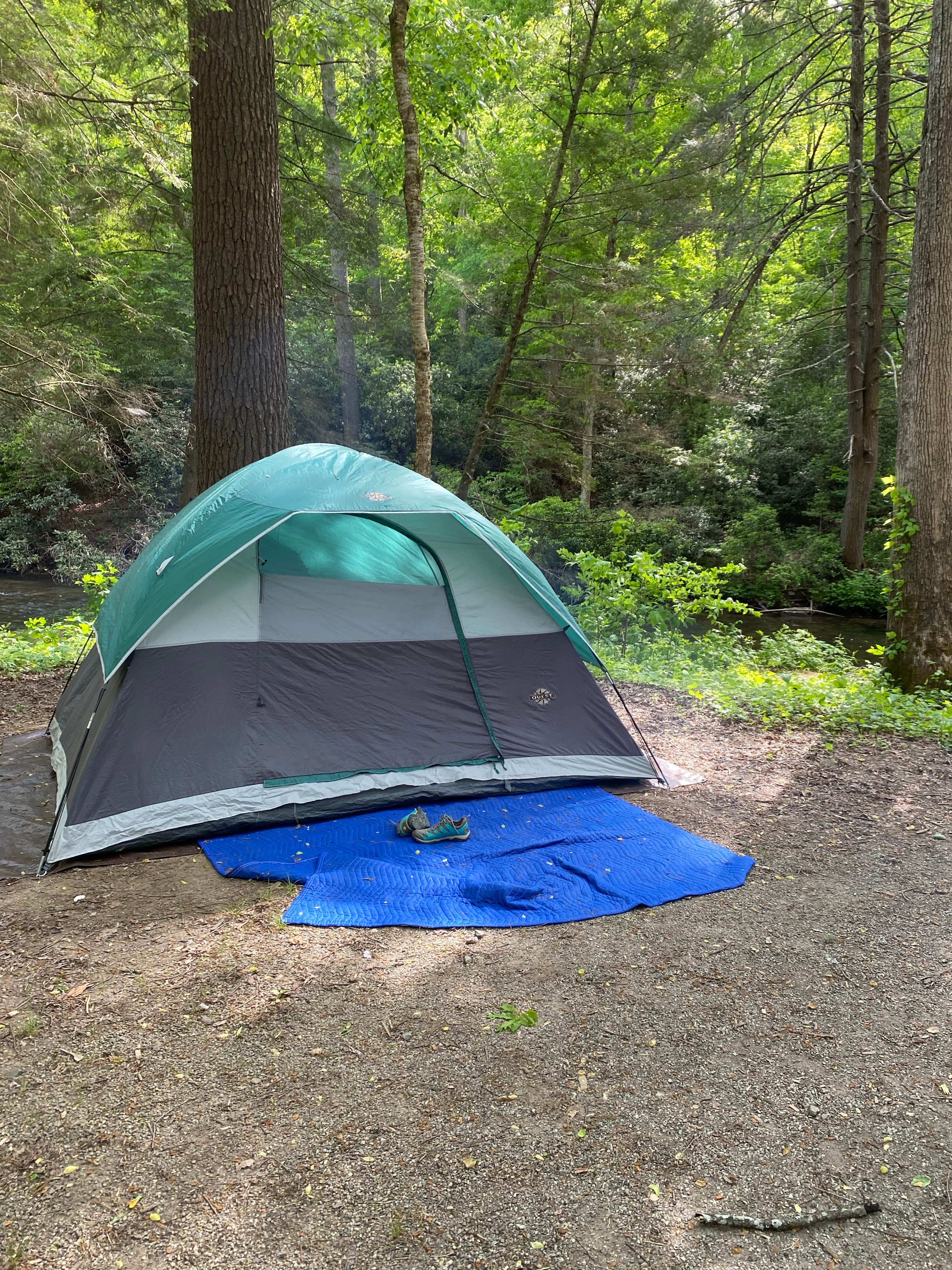 Doreen M.'s photo at Cooper Creek near Suches, GA