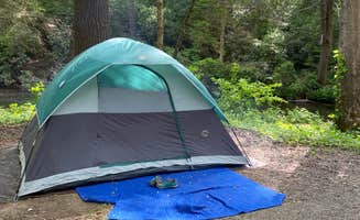 Doreen M.'s photo at Cooper Creek near Suches, GA