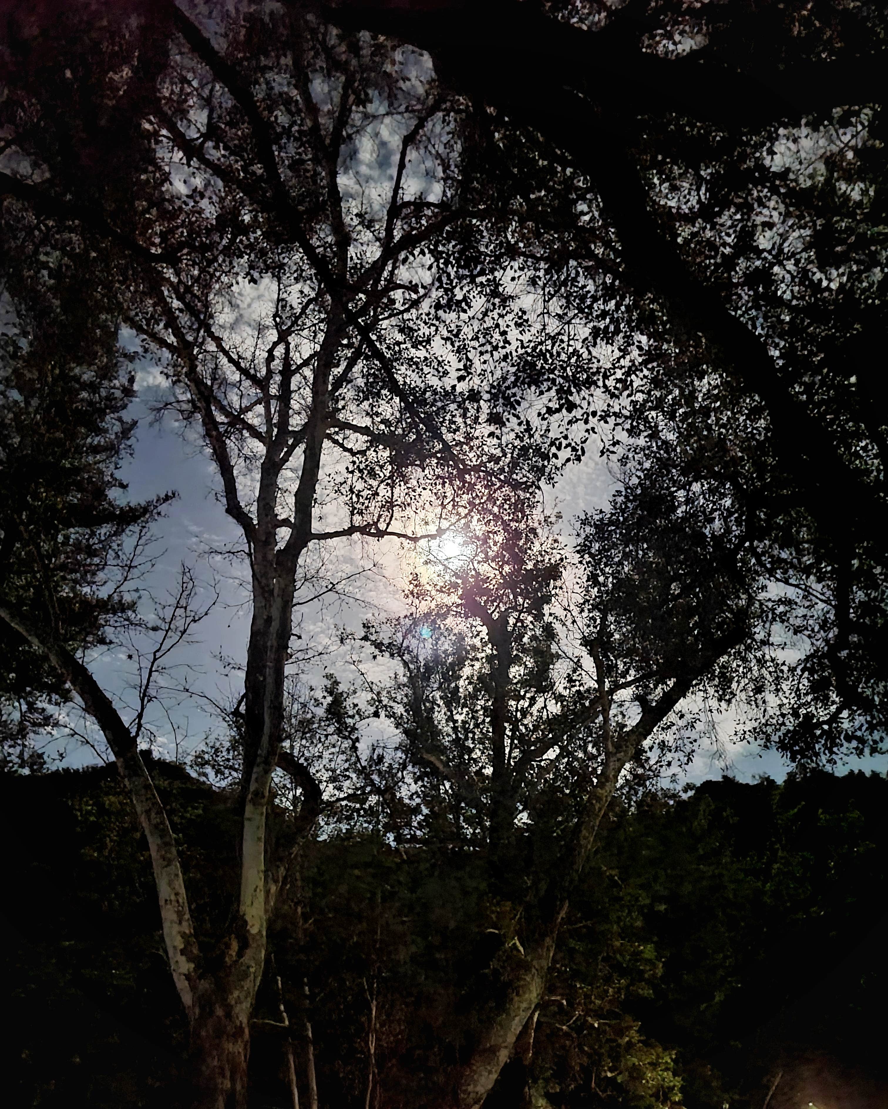 Camper-submitted photo at Camp Comfort Park near Ojai, CA