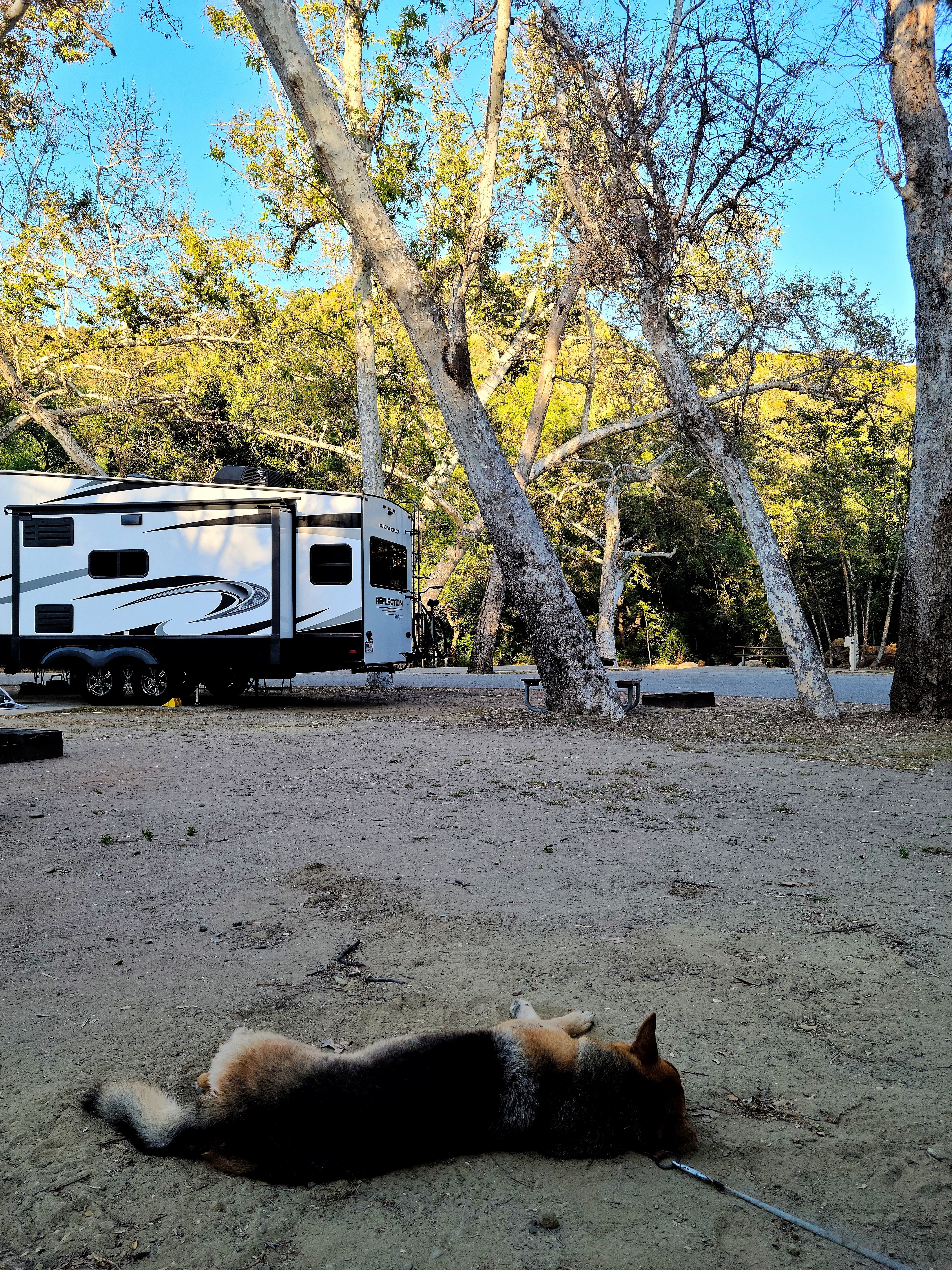 Camper submitted image from Camp Comfort Park - 5