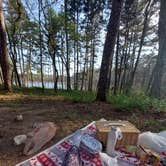 Review photo of Pinewoods Lake Rec Area — Mark Twain National Forest by Malayna F., May 17, 2022