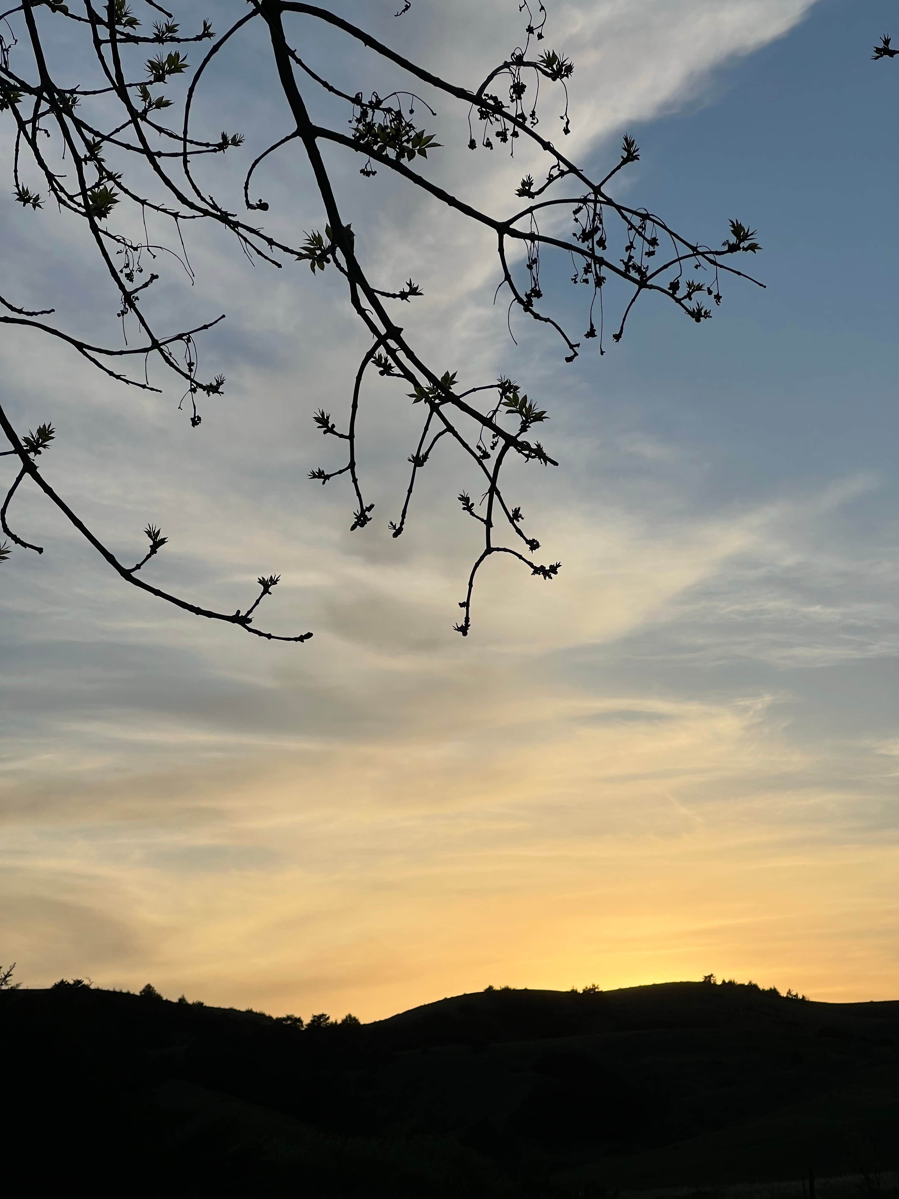 Camper-submitted photo at Dude Ranch near Chamberlain, SD