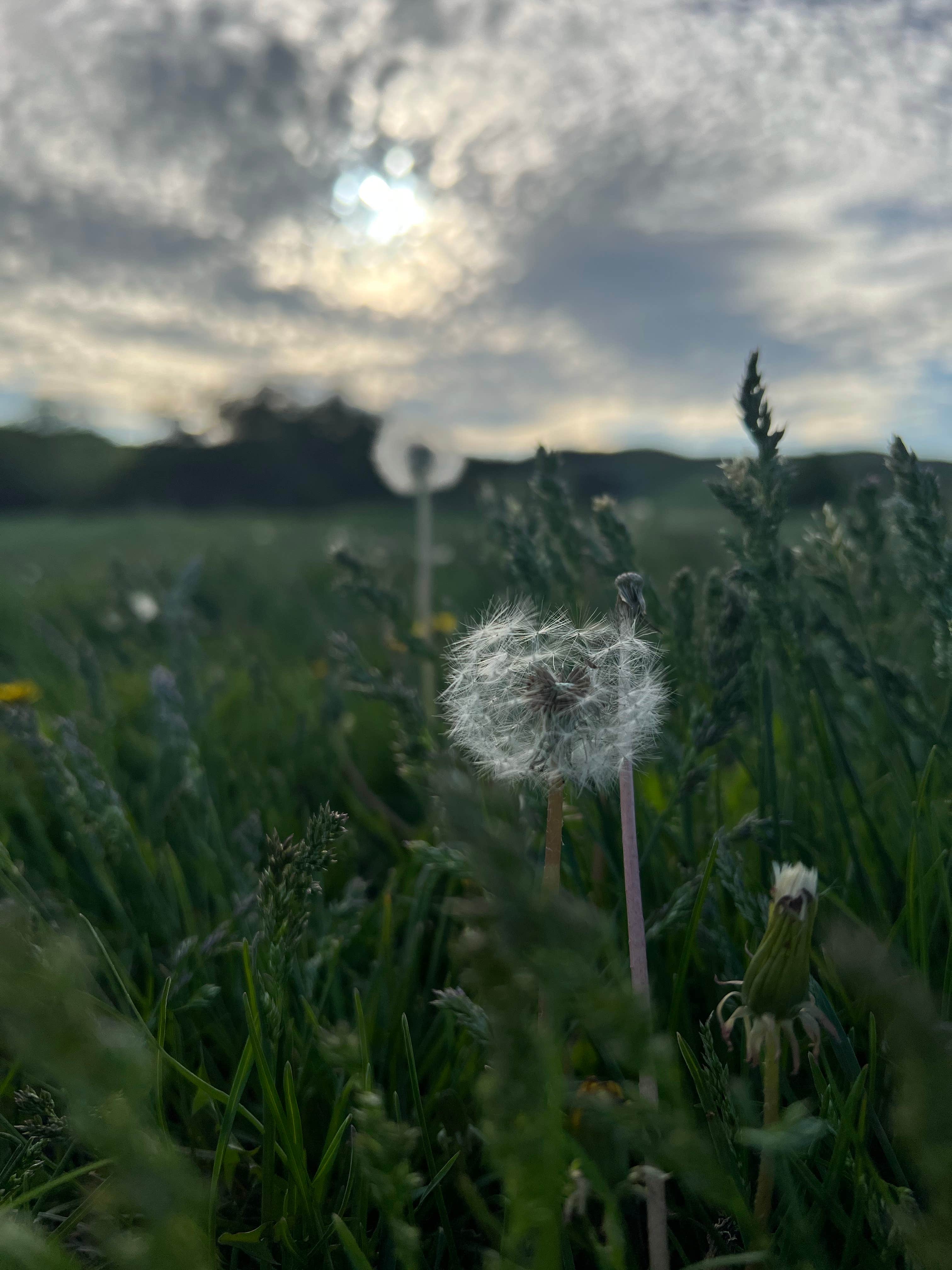Camping near Oacoma Flatts: Dude Ranch, Chamberlain, South Dakota