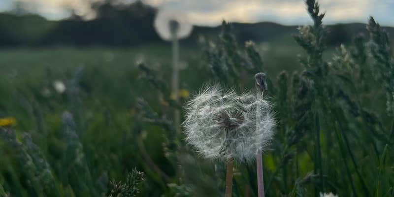 Camper submitted image from Dude Ranch