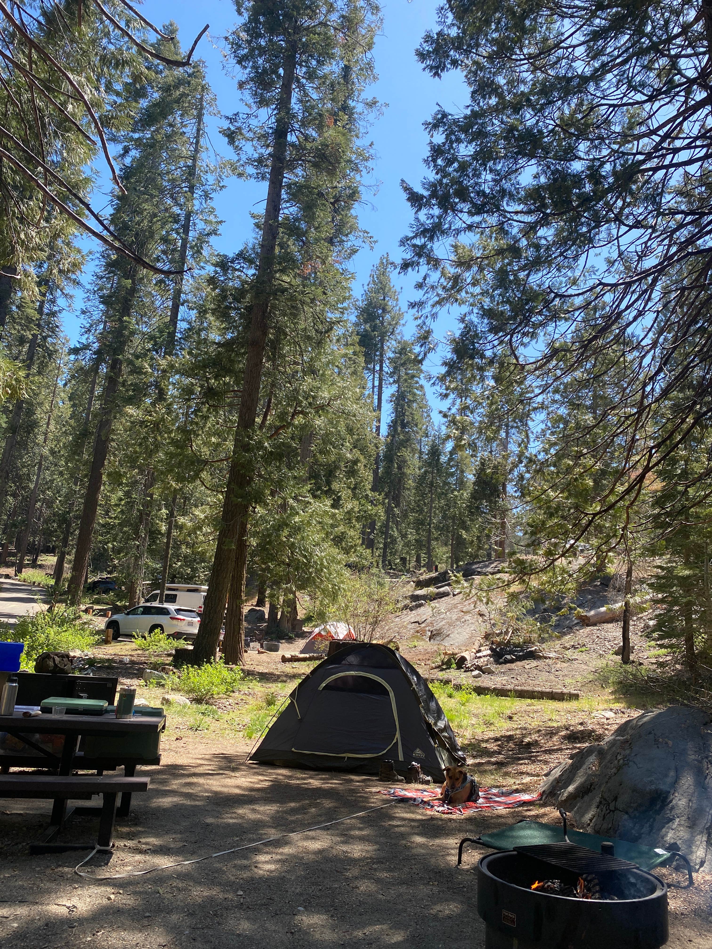 Shane F.'s photo at Dorabelle Campground near Auberry, CA