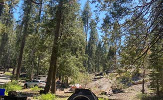 Shane F.'s photo at Dorabelle Campground near Sierra National Forest