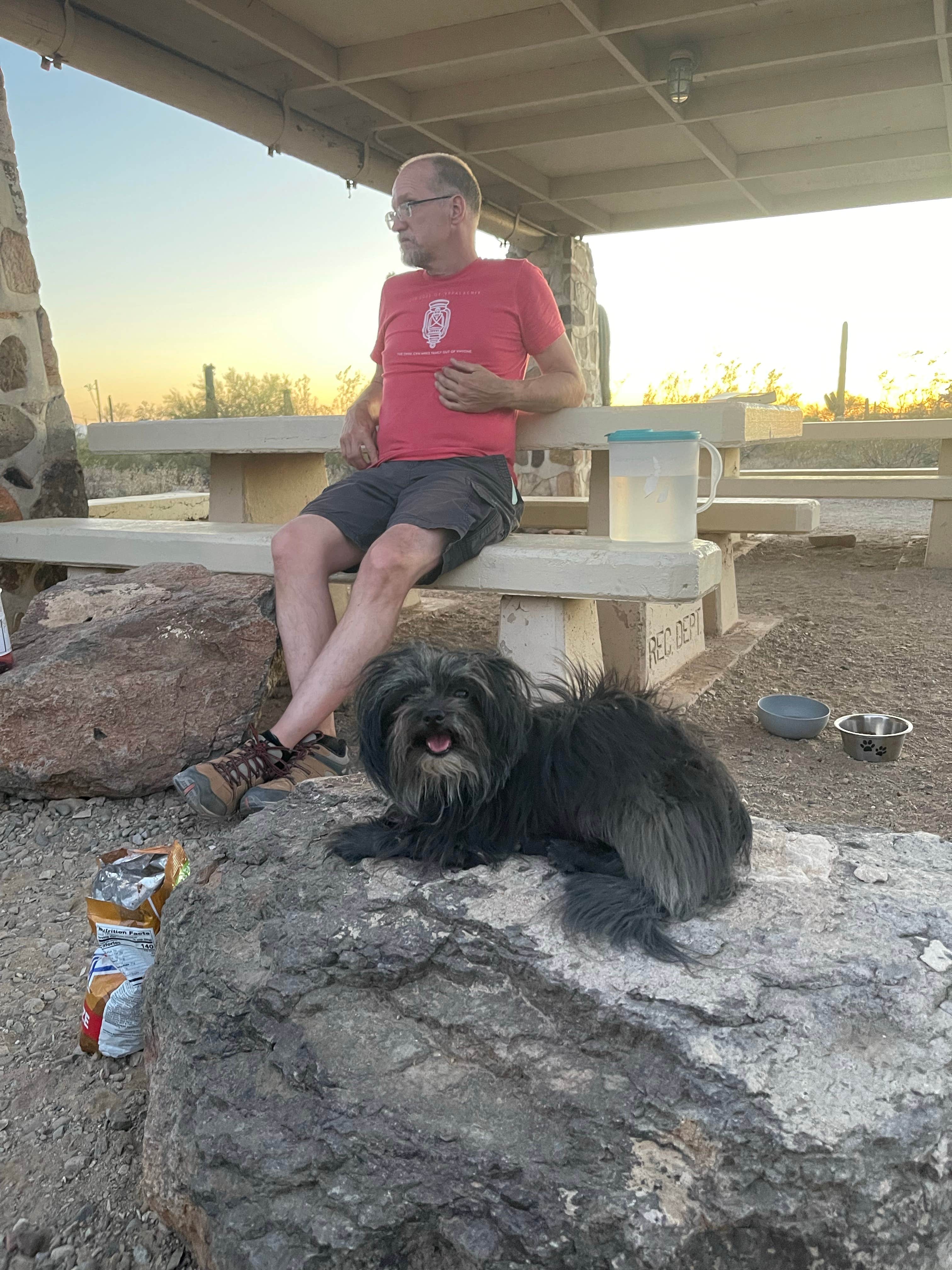 Tiffany B.'s photo of camping with pets at Gilbert Ray Campground near Catalina, AZ