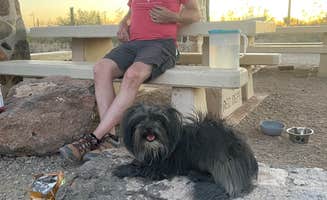 Tiffany B.'s photo of camping with pets at Gilbert Ray Campground near Willow Canyon, AZ
