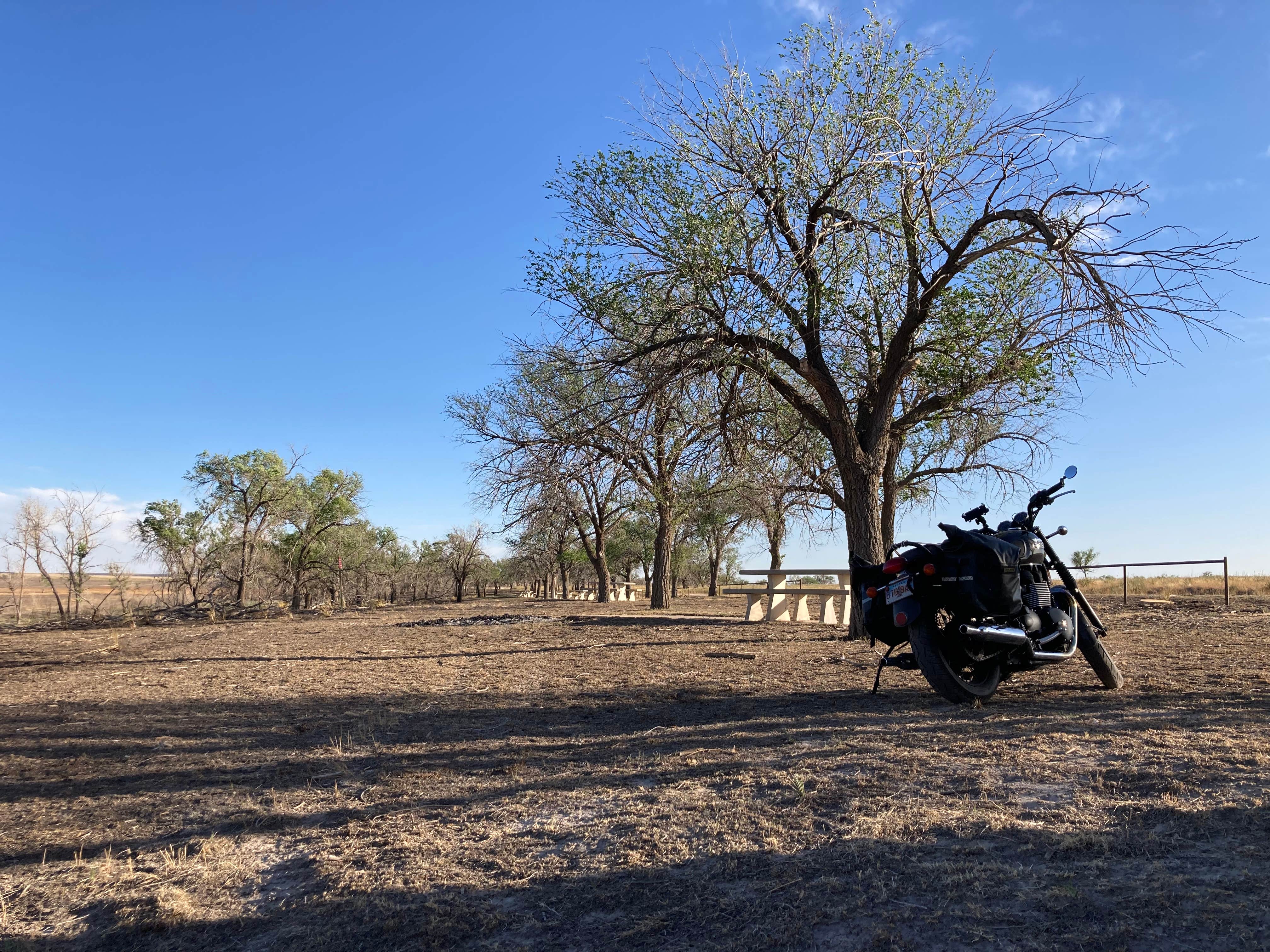 Camper-submitted photo at Buffalo Lake National Wildlife Refuge near Amarillo, TX