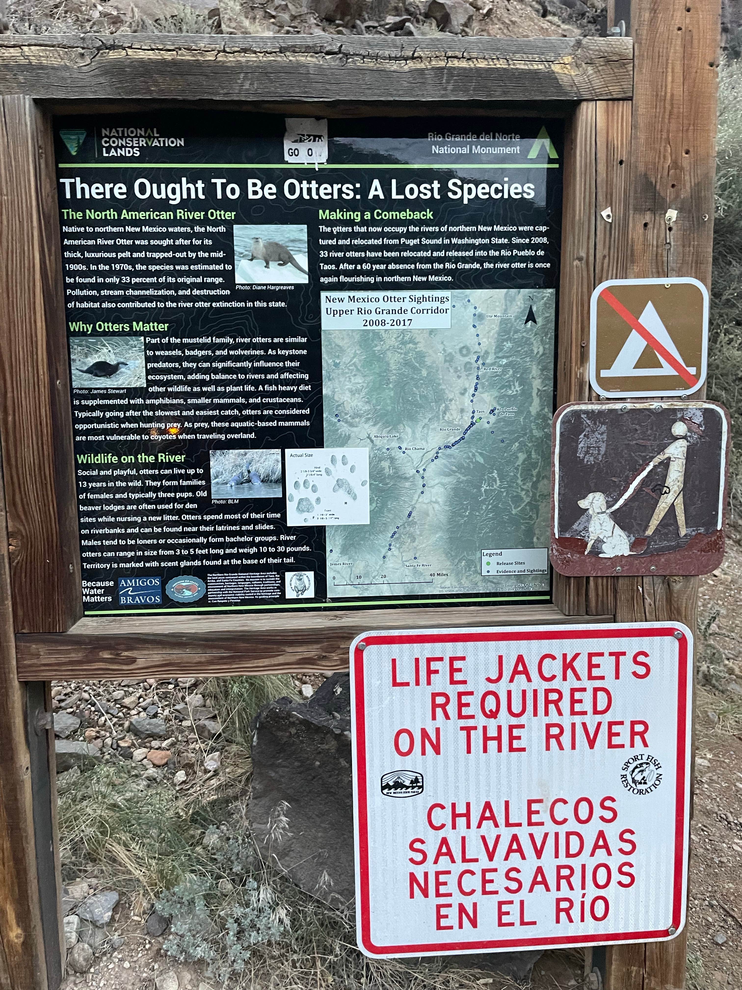 Camper-submitted photo at Dispersed Camping Near Taos near Red River, NM