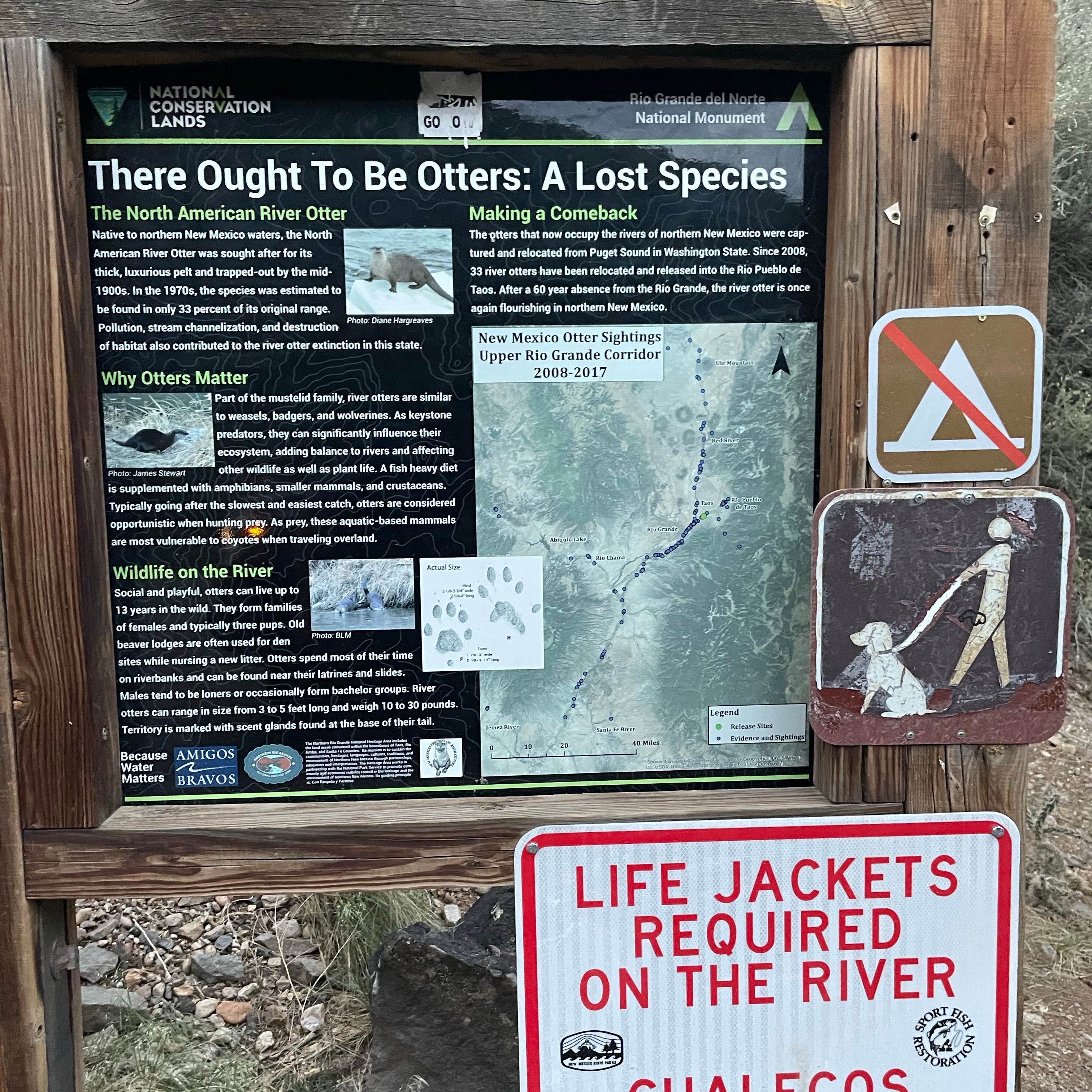 Dispersed Camping Near Taos Arroyo Hondo, NM