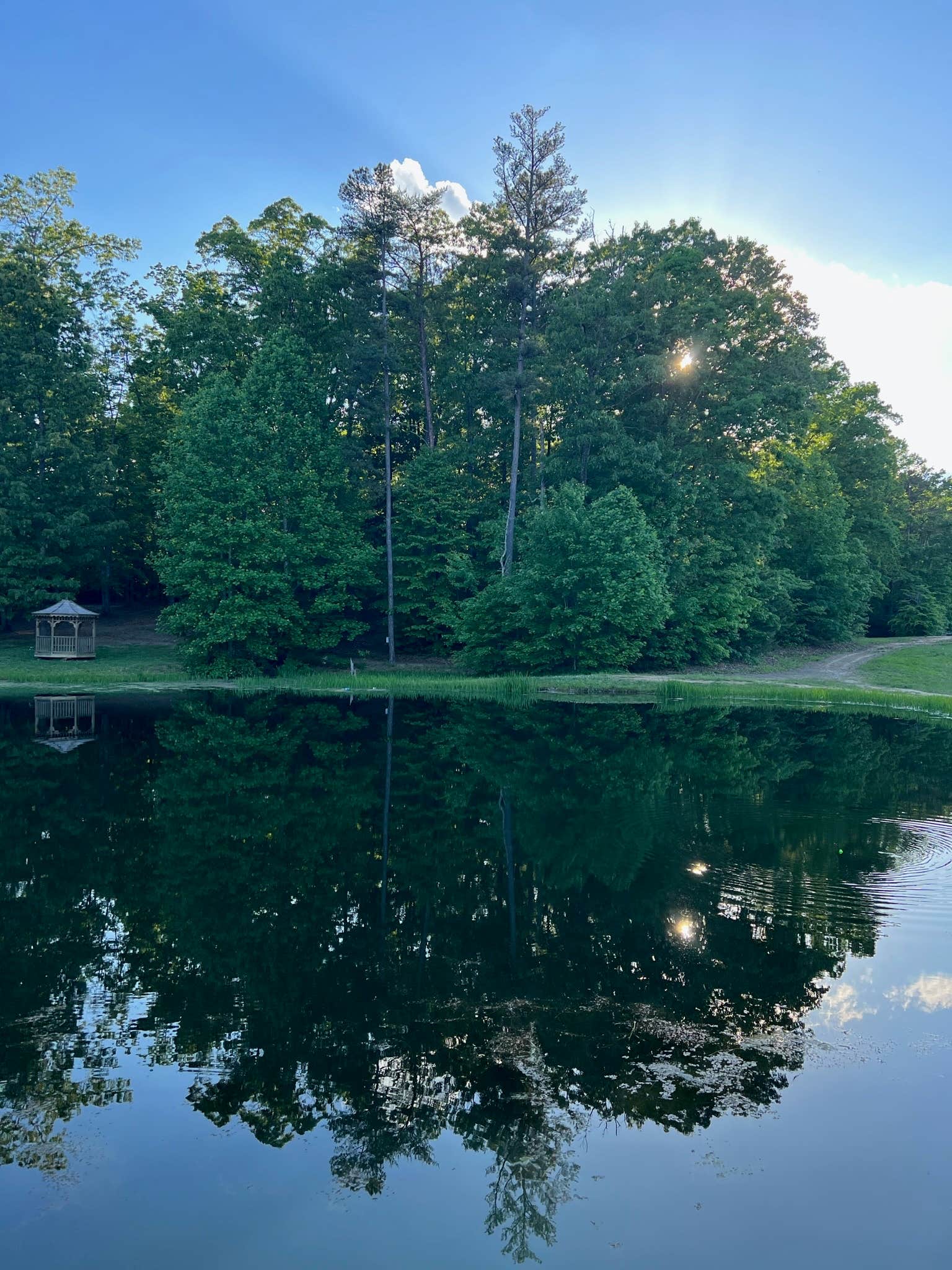Camper-submitted photo at Laurel Lake Camping Resort near Livingston, KY