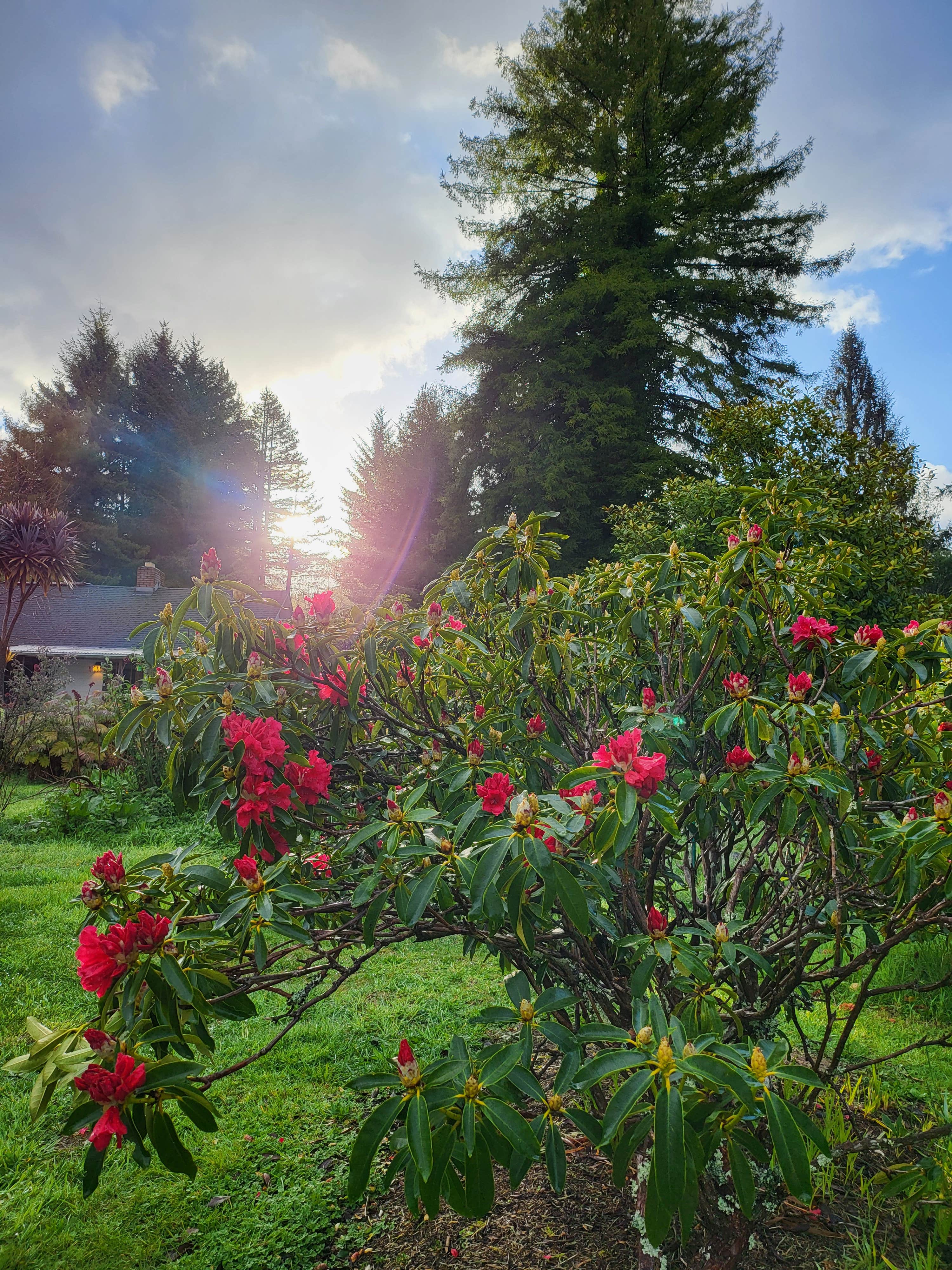 Crescent City Camping (Private)