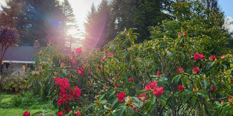 Camper submitted image from Crescent City Camping (Private)