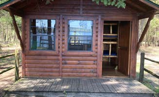 Cameron M.'s photo of a cabin at Alcona Park near Tawas City, MI