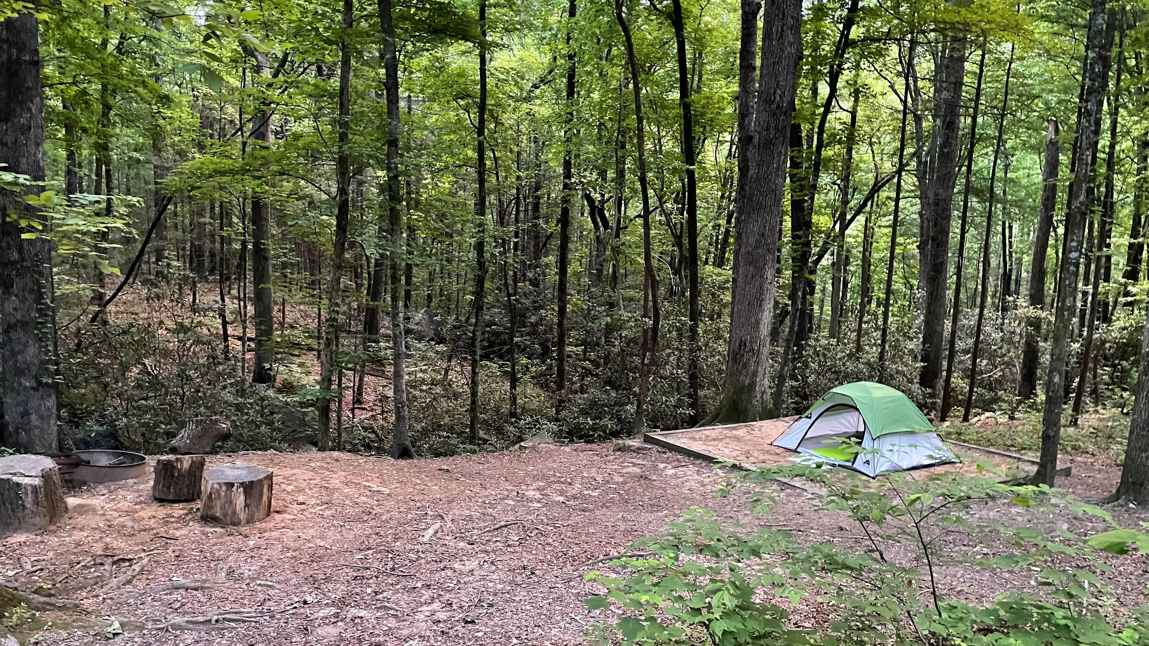 Brandon L.'s photo at Jones Gap State Park Campground near Greer, SC