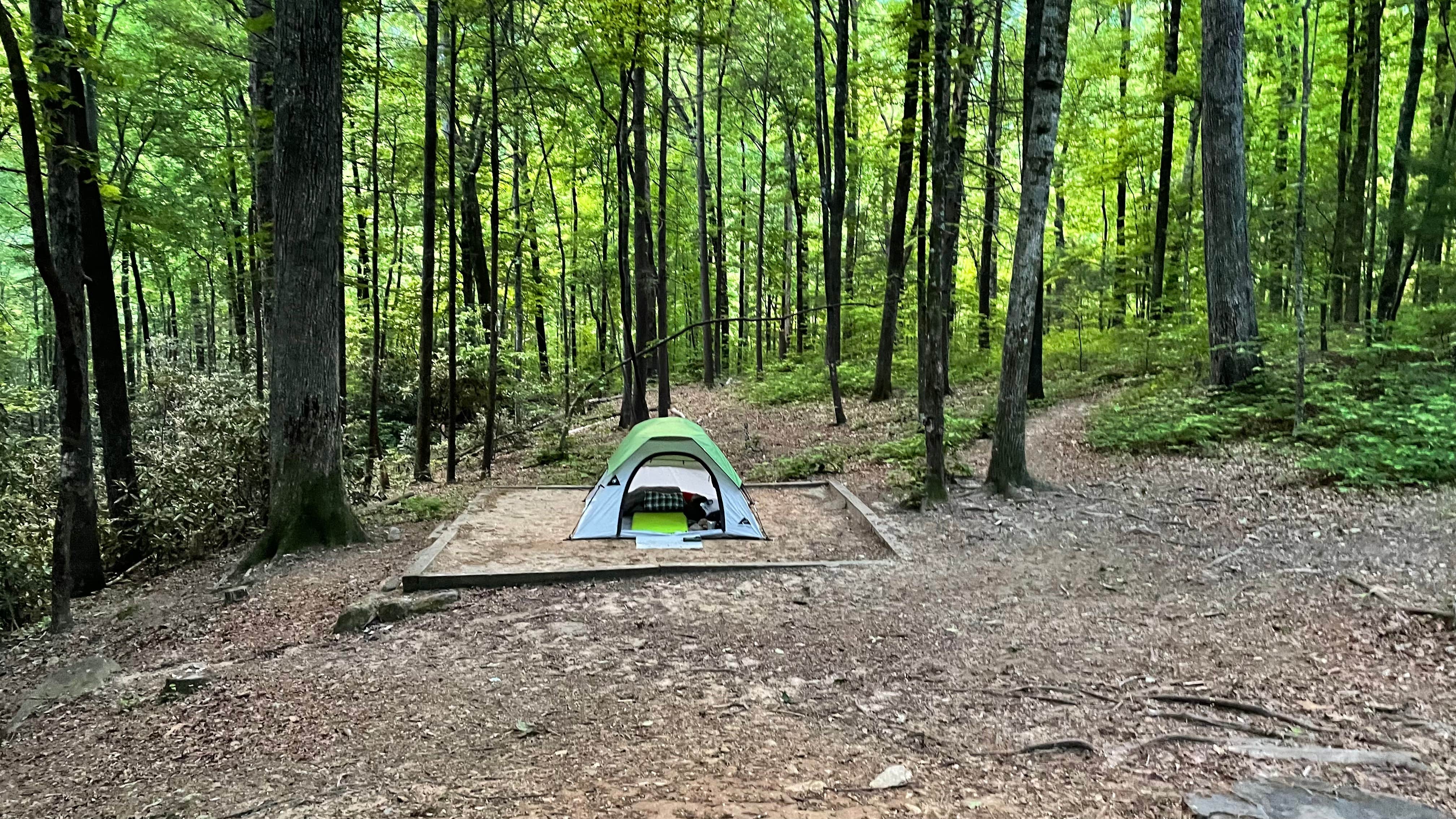 Brandon L.'s photo at Jones Gap State Park Campground near Glendale, SC