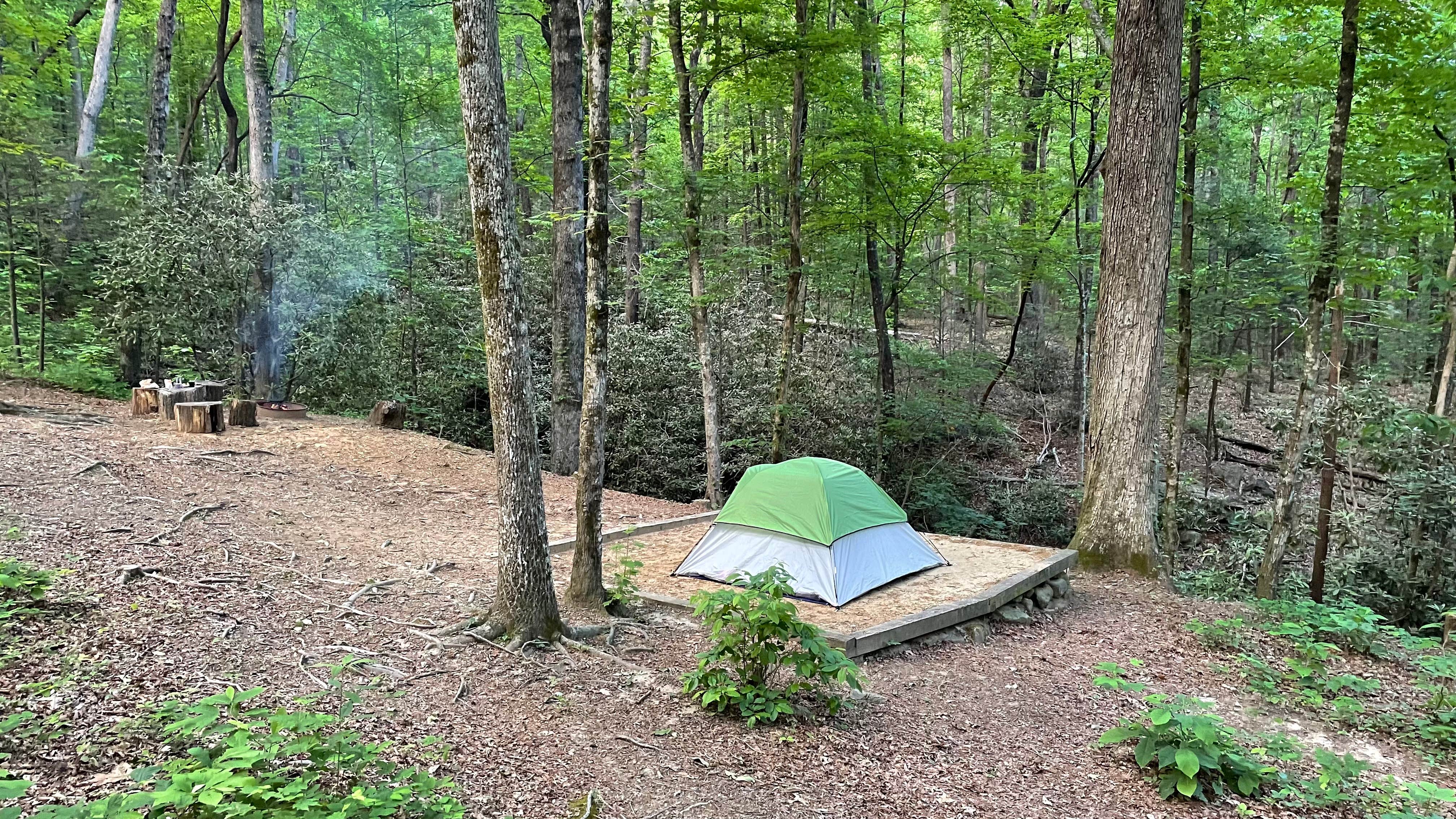 Brandon L.'s photo at Jones Gap State Park Campground near Flat Rock, NC