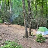 Review photo of Jones Gap State Park Campground by Brandon L., May 17, 2022