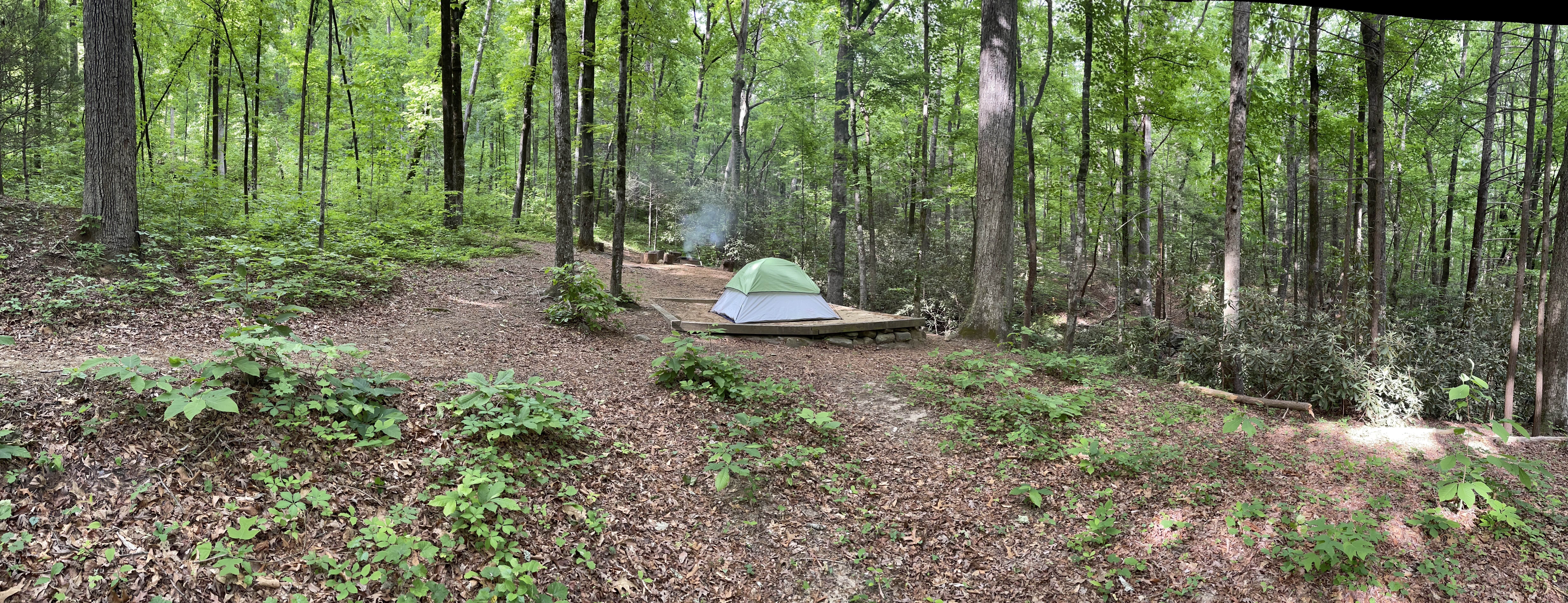 Brandon L.'s photo of tent camping at Jones Gap State Park Campground near Glendale, SC