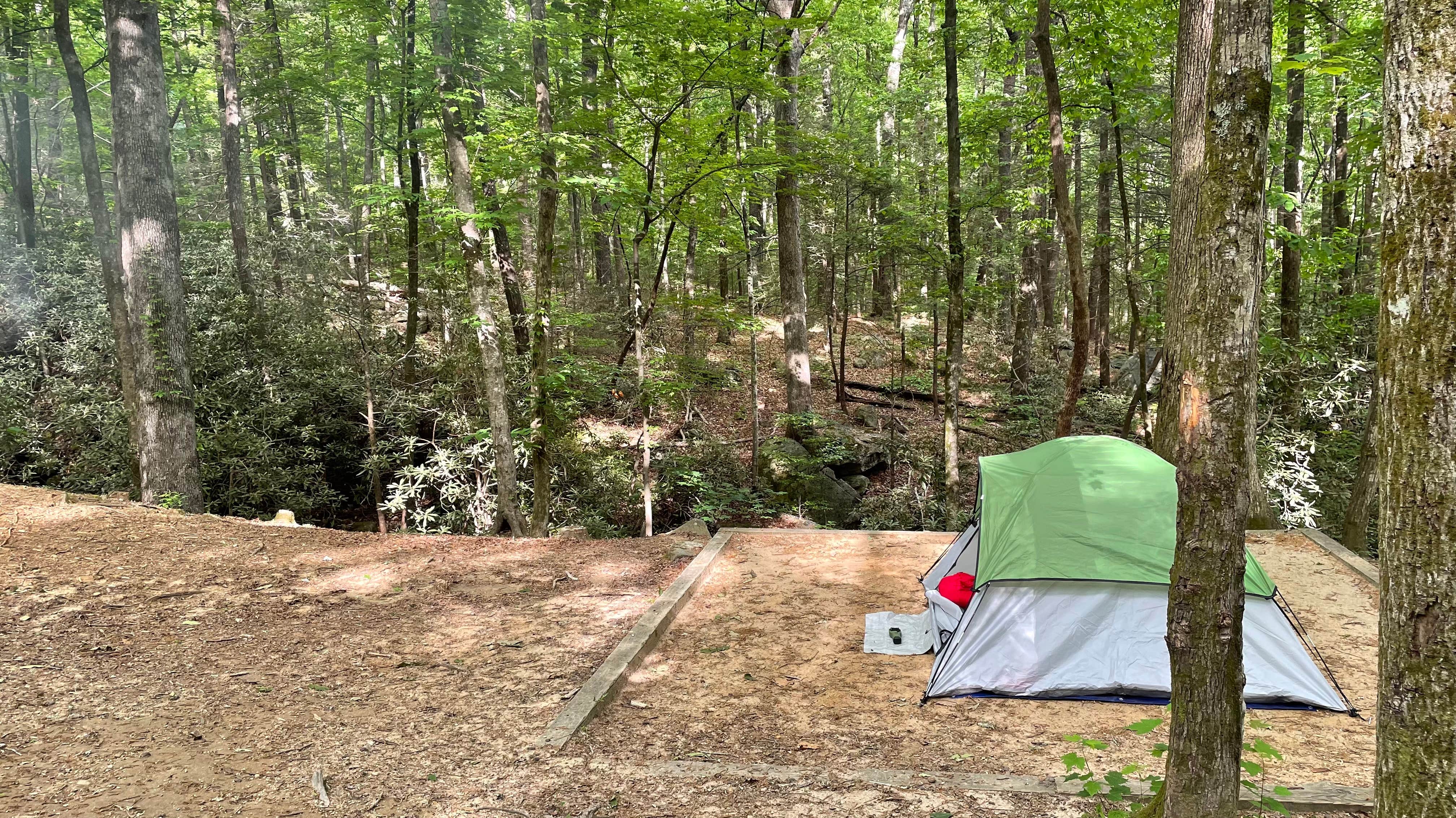 Brandon L.'s photo at Jones Gap State Park Campground near Glendale, SC
