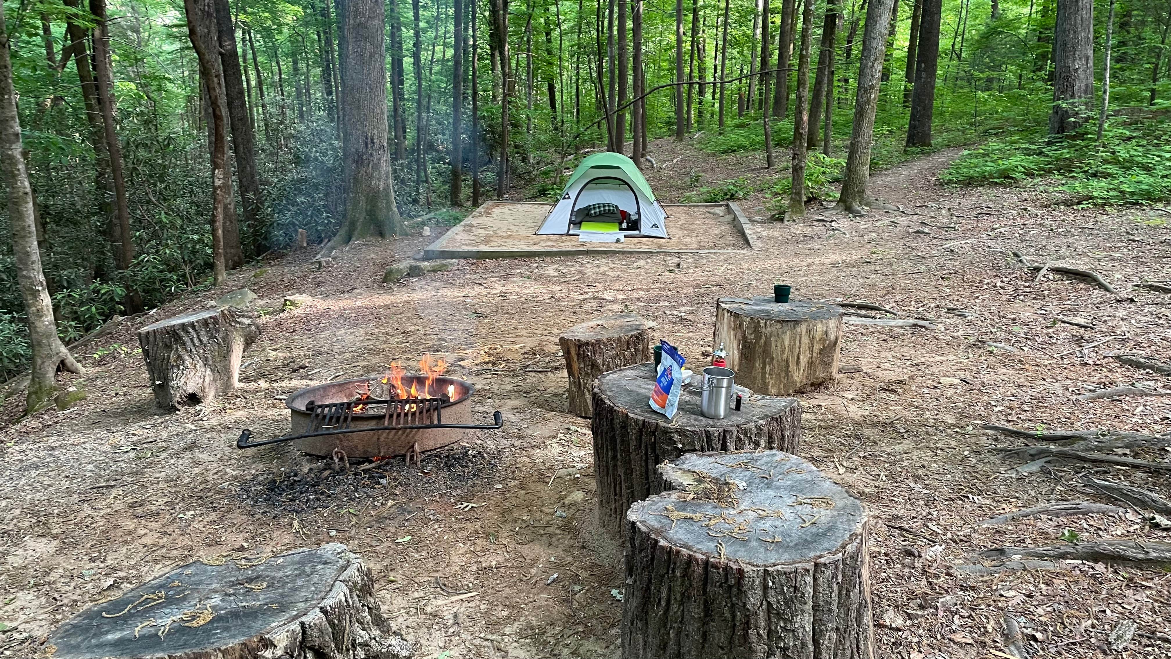 Brandon L.'s photo at Jones Gap State Park Campground near Taylors, SC