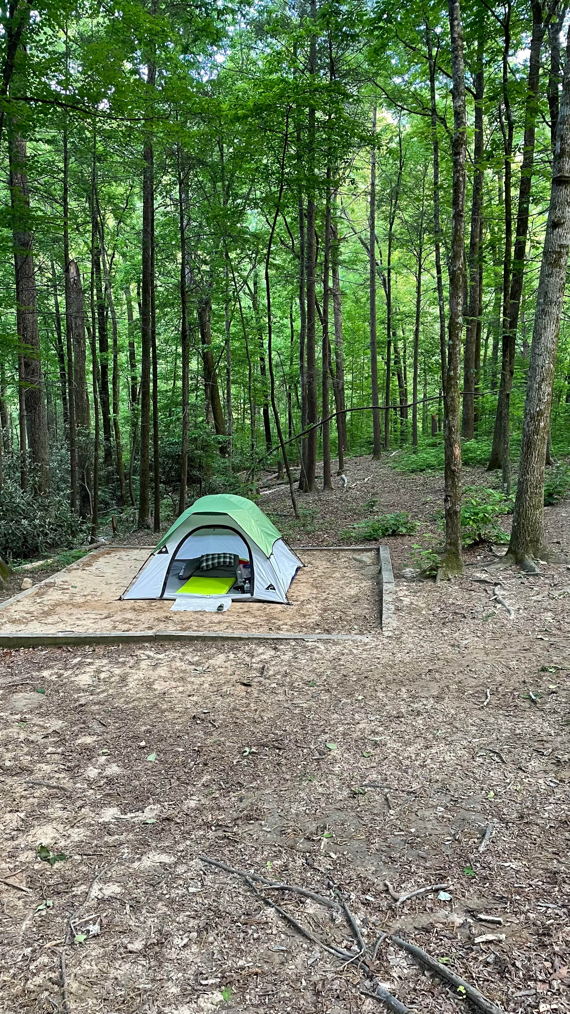 Brandon L.'s photo of tent camping at Jones Gap State Park Campground near Sapphire, NC