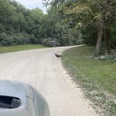 Review photo of Glenwood RV Resort by Bea , May 17, 2022
