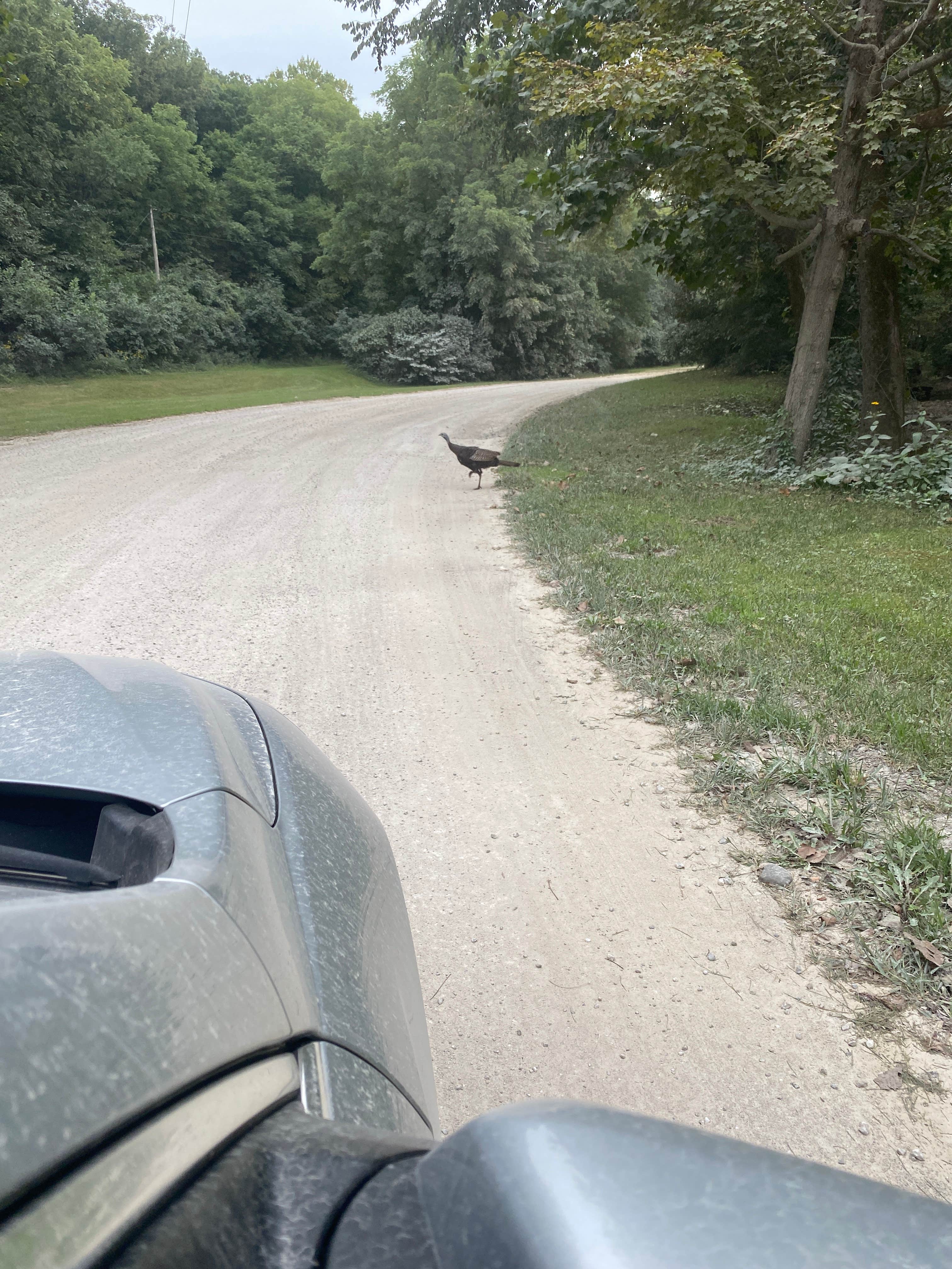 Camper submitted image from Glenwood RV Resort - 4