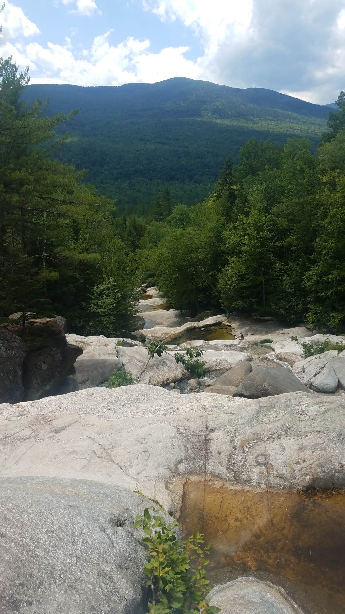 Camper submitted image from Base Camp — Umbagog Lake State Park - 5