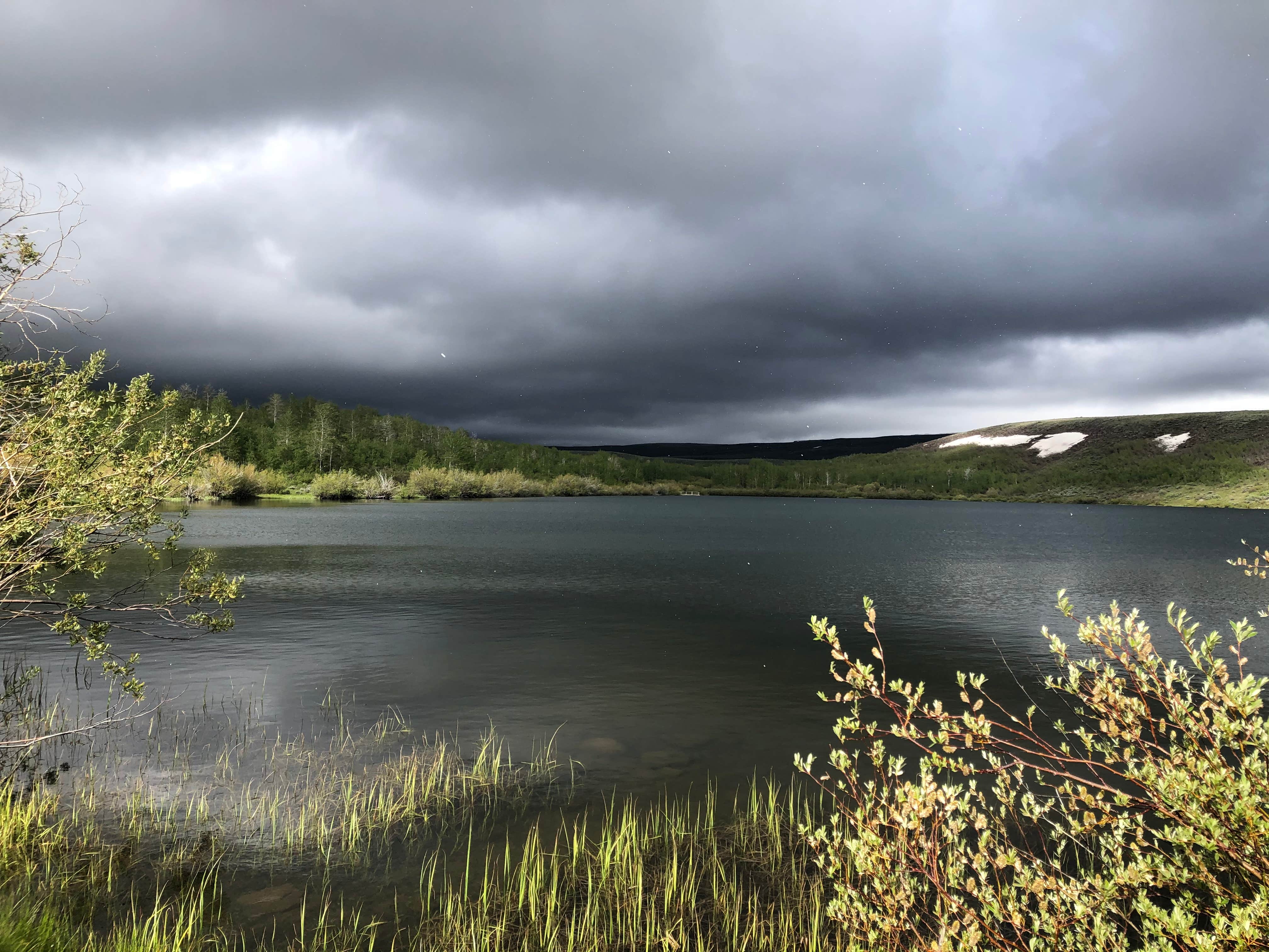 Camper submitted image from Fish Lake Campground - 3