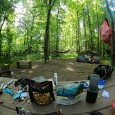 Review photo of Canoe Camp — Raven Rock State Park by Linda , May 17, 2022