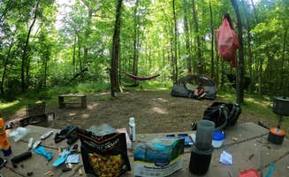 Linda's photo at Canoe Camp — Raven Rock State Park near Smithfield, NC