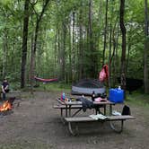 Review photo of Canoe Camp — Raven Rock State Park by Linda , May 17, 2022