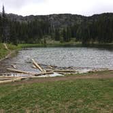 Review photo of Sunrise Camp Primitive — Mount Rainier National Park by Celina M., July 13, 2018