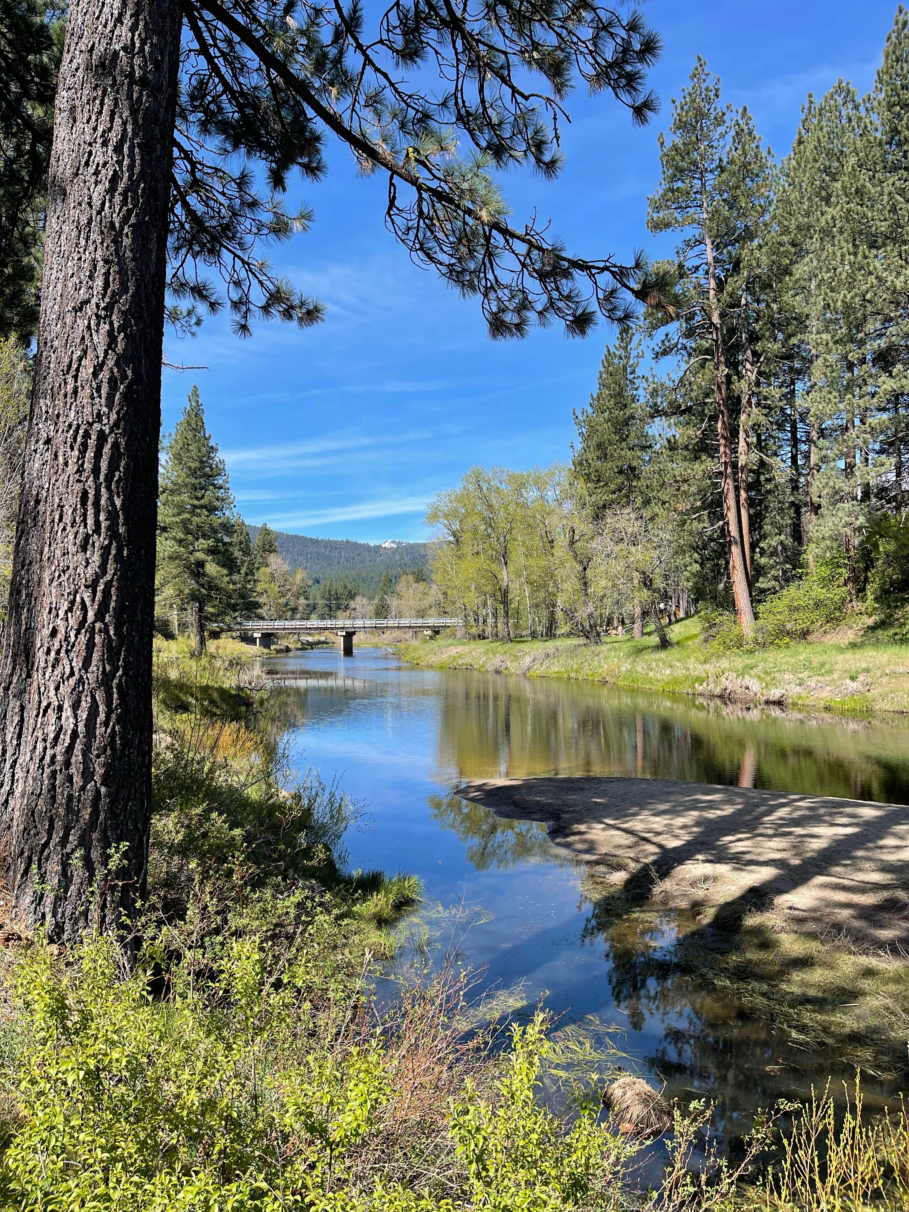 Camper-submitted photo at Clio's Rivers Edge RV Park near Calpine, CA
