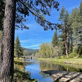 Review photo of Clio's Rivers Edge RV Park by Tim & Cleo D., May 17, 2022