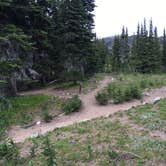 Review photo of Sunrise Camp Primitive — Mount Rainier National Park by Celina M., July 13, 2018