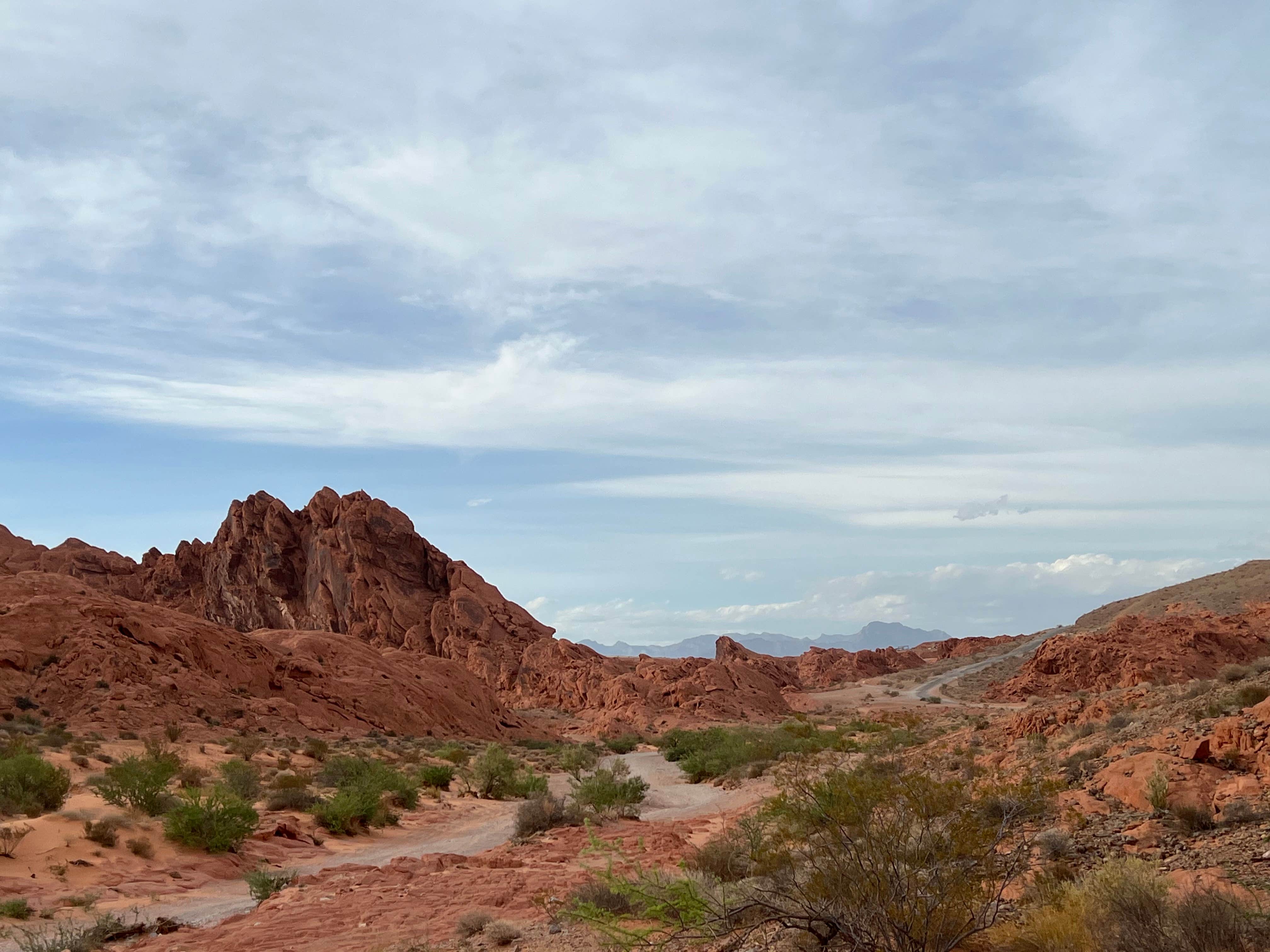 Camper-submitted photo at Dispersed Camping North of Logandale near Bunkerville, NV