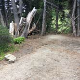 Review photo of Sunrise Camp Primitive — Mount Rainier National Park by Celina M., July 13, 2018