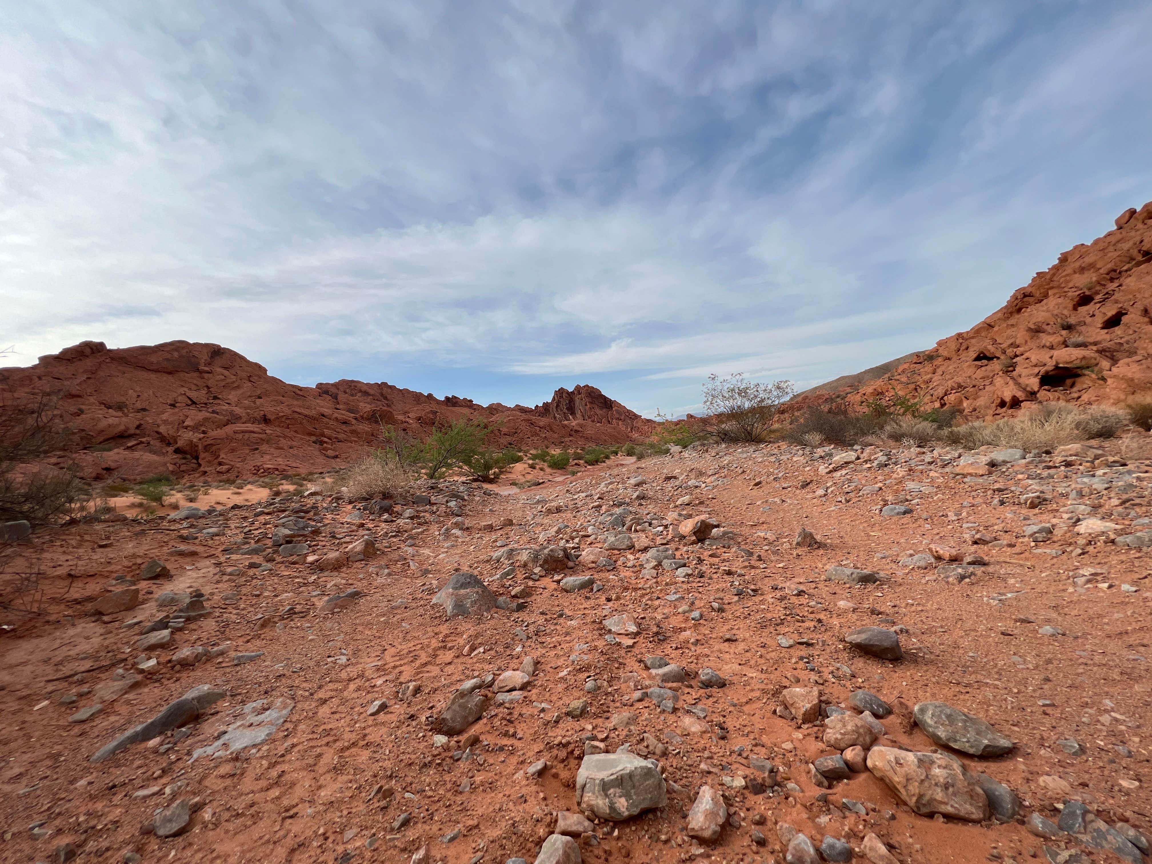Camper-submitted photo at Dispersed Camping North of Logandale near Bunkerville, NV
