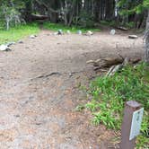 Review photo of Sunrise Camp Primitive — Mount Rainier National Park by Celina M., July 13, 2018