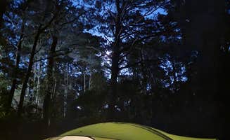 Samantha E.'s photo at First Landing State Park Campground near Greenwood, VA